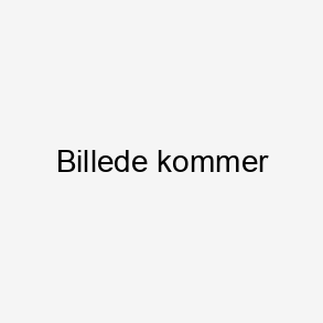 Stor spartel til klinik brug