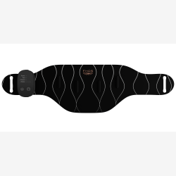 LEDBELT