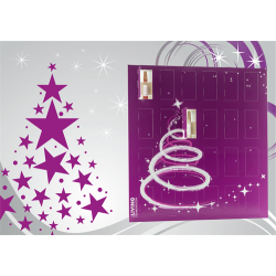 Julekalenderen fra LIv 